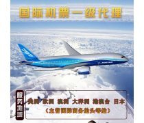 票務(wù)服務(wù)與票務(wù)代理服務(wù) 現(xiàn)代娛樂與出行體驗(yàn)的橋梁